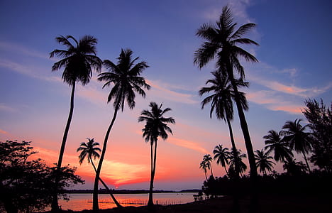 dawn, landscape, nature, sky thumbnail