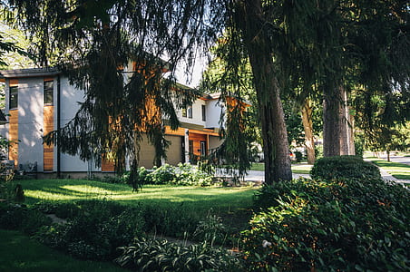wood, landscape, summer, building thumbnail