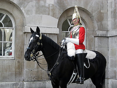 man riding black horse thumbnail
