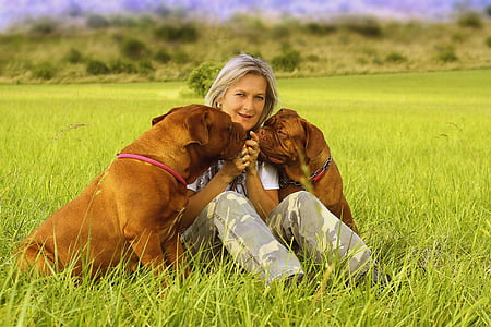 woman seating between two dos on grass thumbnail