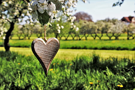 silver-colored heart pendant thumbnail