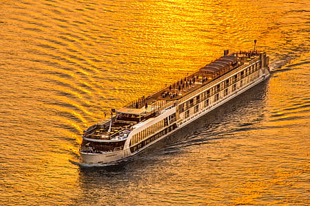 white cruiser ship on body of water thumbnail