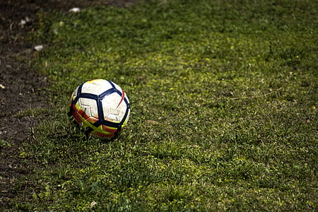white and black soccer ball on green grass field thumbnail
