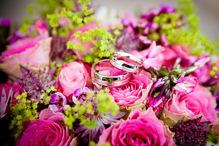 two silver-colored rings over pink petal flower thumbnail