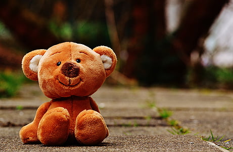 brown bear plush toy on gray concrete surface thumbnail