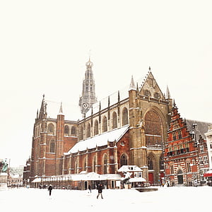 low angle photo of brown cathedral thumbnail