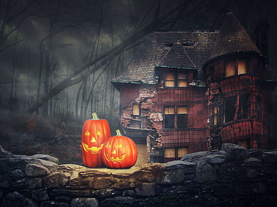 two orange pumpkins near brown building illustration thumbnail
