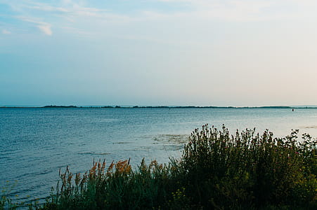 Body of Water thumbnail