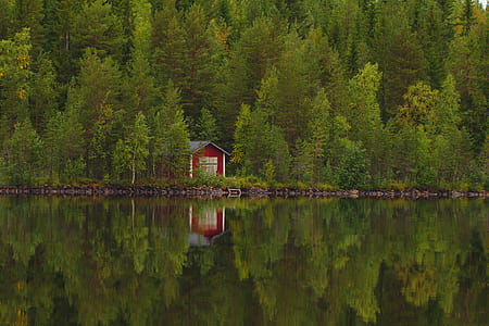 red shed near on lake thumbnail