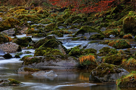 river photo during daytime thumbnail