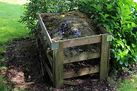 brown wooden plant box near green plant thumbnail