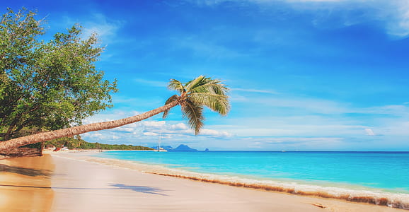 body of water and brown sand photography thumbnail