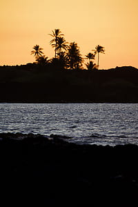 body of water beside silhouette of trees thumbnail