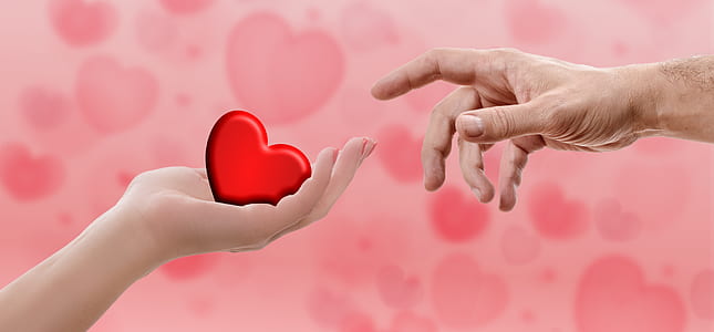 person's hand holding heart illustration thumbnail