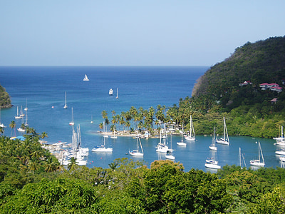 sailboats near island and trees thumbnail