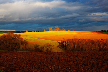 landscape photography of yellow hill under cloudy sky during daytime thumbnail