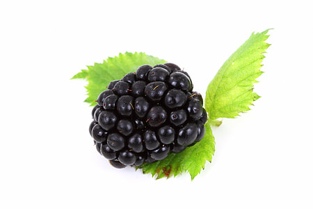 blueberry fruit thumbnail
