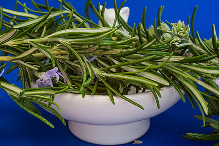 green leaves on white ceramic bowl thumbnail