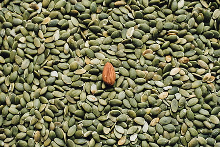 pile of black nuts thumbnail