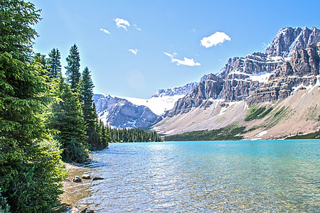 body of water surrounded by trees and mountain thumbnail