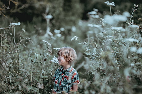 tilt lens photography of boy wearing gray and red floral collar shirt in the middle of white flowers during daytime thumbnail