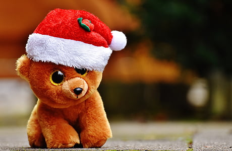 macro photography of brown bear plush toy thumbnail