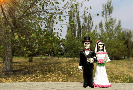 skeleton couple standing near tree thumbnail