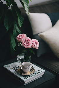 Lovely roseses, book and coffee thumbnail