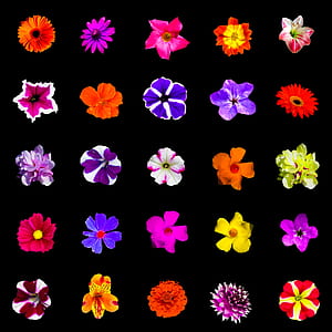 assorted-color flower lot thumbnail