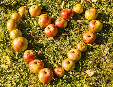 Fuji apples thumbnail