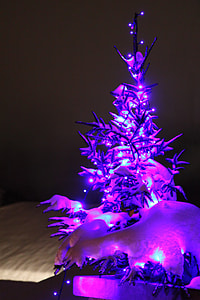 purple LED light in Christmas tree inside room thumbnail