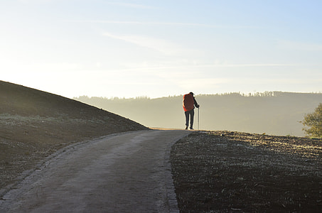person walking on road at daytime thumbnail