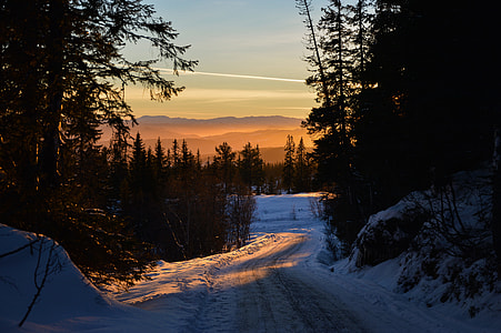 dirt road covered with snow surrounded by pine trees during sunset thumbnail