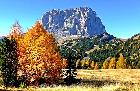 landscape photography of trees and mountain thumbnail