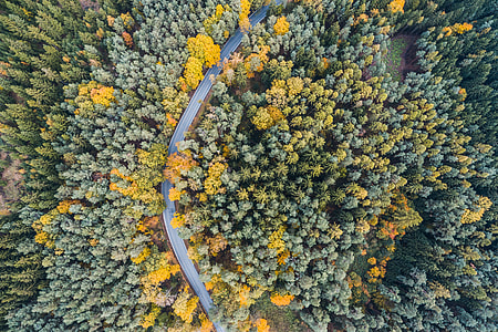 Lonely Road in Woods Aerial From Above thumbnail
