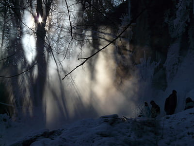 rays of the sun over tree thumbnail