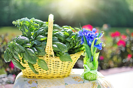 green leaves in brown woven basket beside a blue flower thumbnail