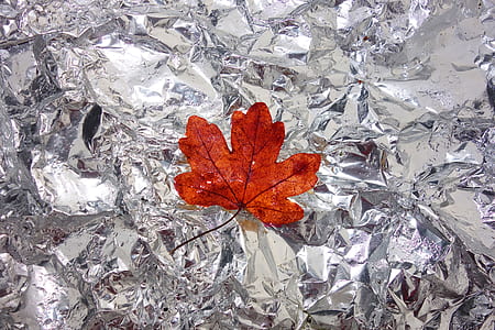 orange leaf on gray aluminum foil thumbnail