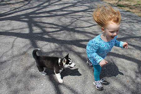 girl running beside black and white Siberian husky puppy on road during daytime thumbnail