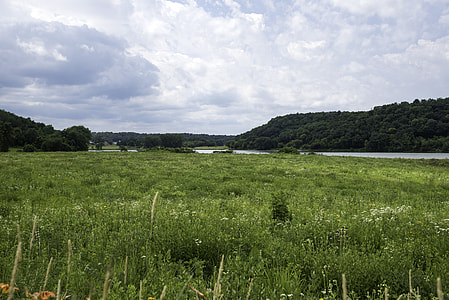 Greenery landscape with grass and lake at Indian Lake thumbnail