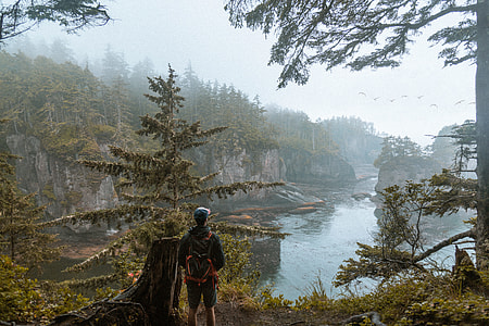man standing near body of water looking at birds flying over body of water thumbnail
