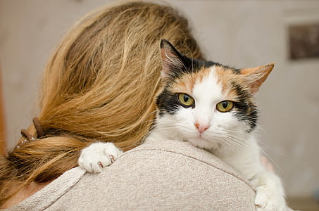 woman carrying white cat thumbnail