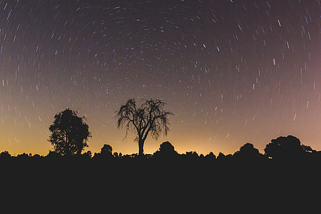 time-lapse photography of silhouette of trees at night thumbnail