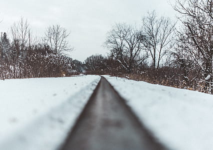 empty road surrounded with snow thumbnail