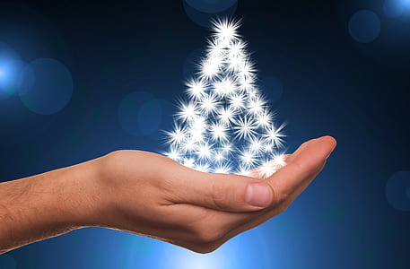 person holding white miniature Christmas tree thumbnail