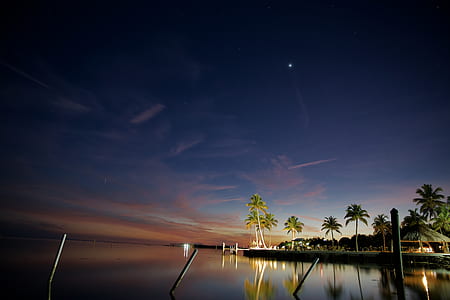 green coconut trees beside body of water thumbnail