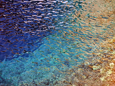 body of water thumbnail