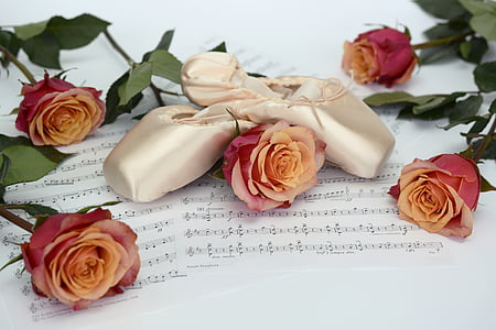 red and orange roses on white printer paper thumbnail