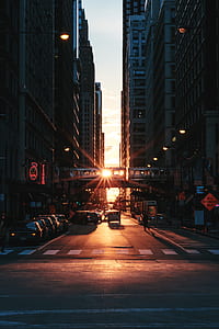 assorted-color cars near high rise building at dawn thumbnail