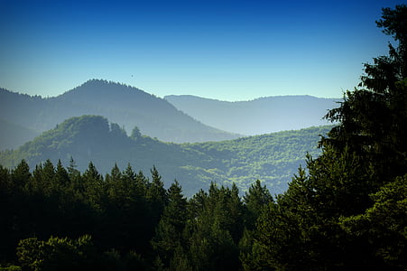 aerial photo of mountains and forest thumbnail